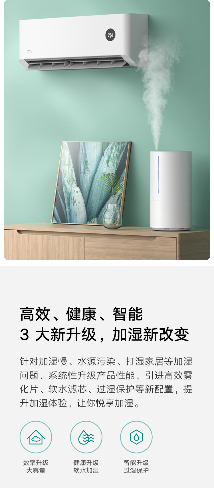 1686279844580539.jpg 0003.jpg